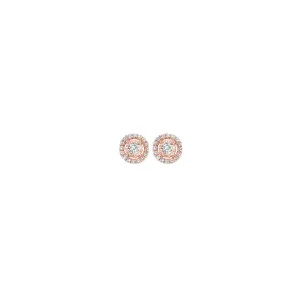 14KT Pink Gold & Diamond Tru Reflection Fashion Earrings  - 1/8 ctw