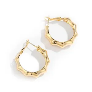 18k Gold-Filled Trendy Hoop Earrings