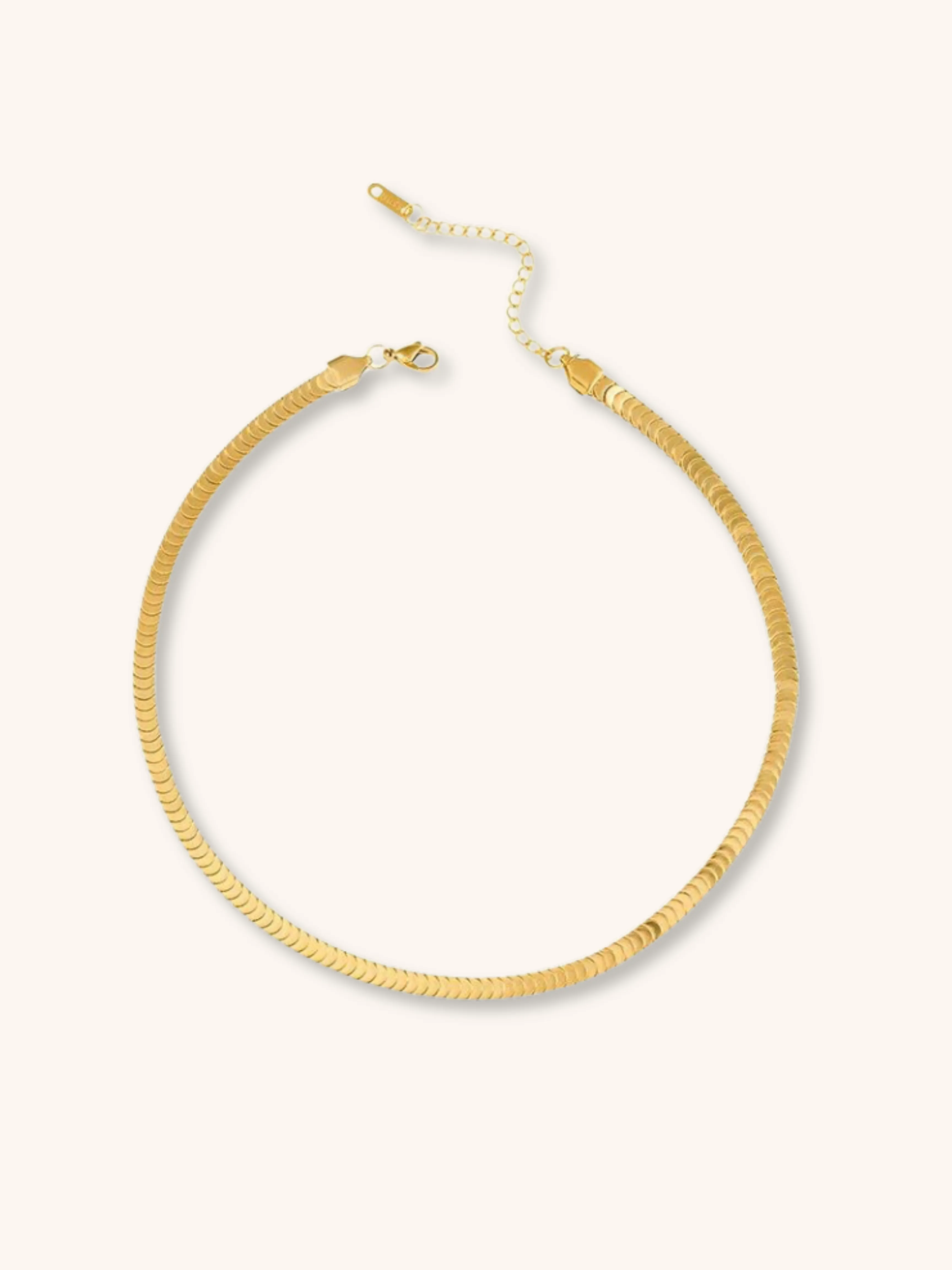 Minimalist Scale Chain Necklace