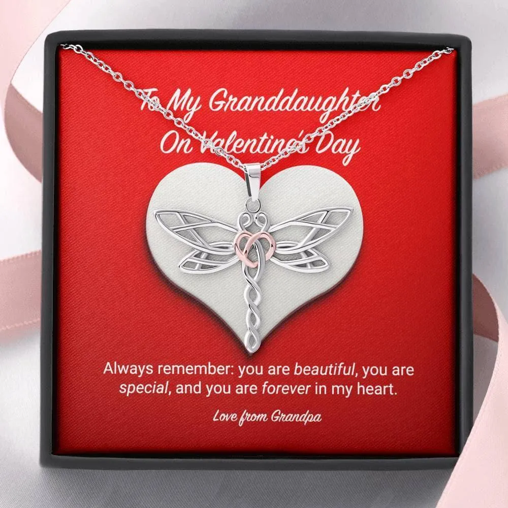 To My Granddaughter from Grandpa Valentine's Day Dragonfly Necklace